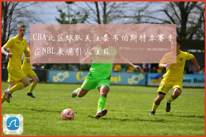 CBA北区球队关注泰韦伯斯特本赛季在NBL表现引人注目